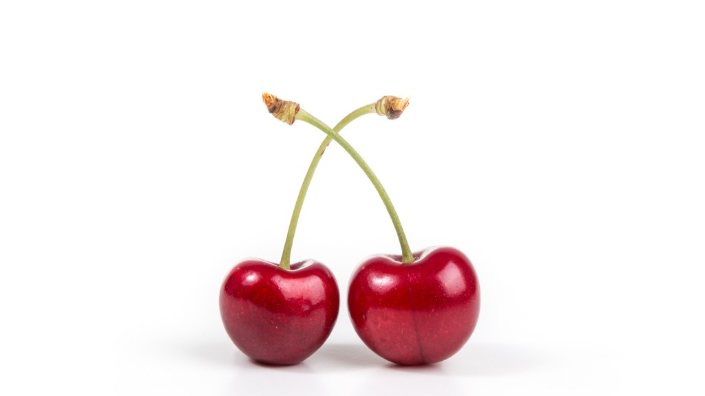 Can you grow a cherry tree in ohio?
