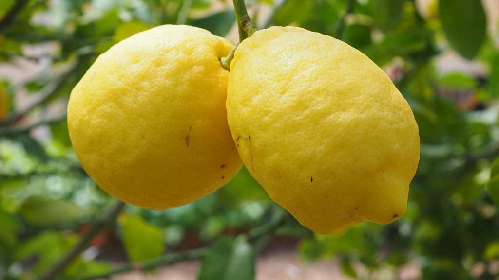 Can i grow a lemon tree inside?
