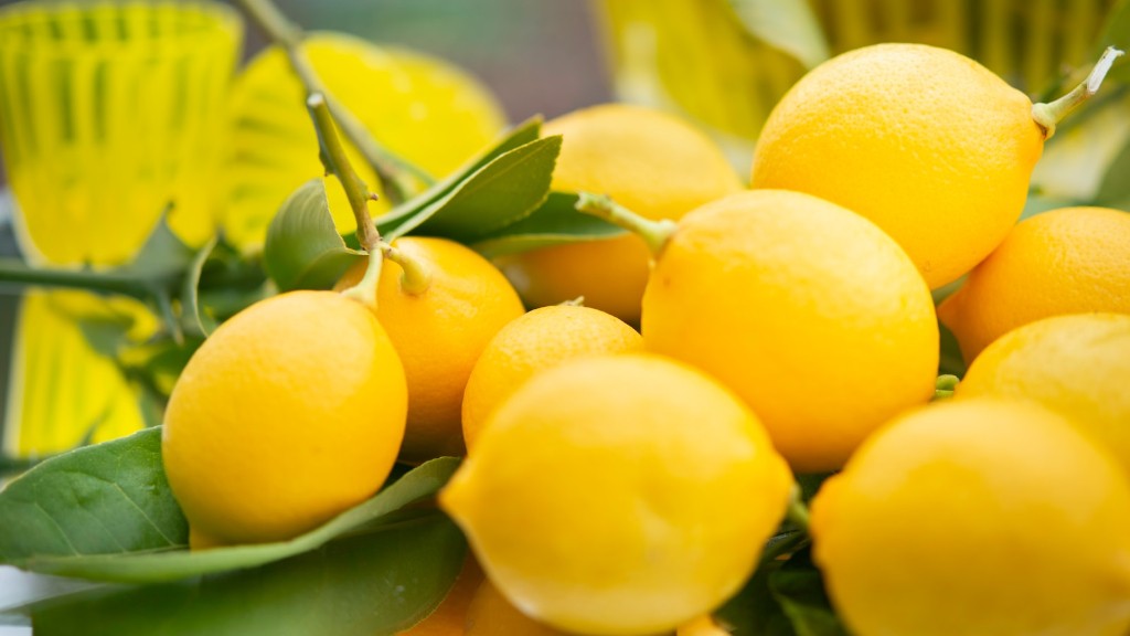 Can a lemon tree survive indoors?