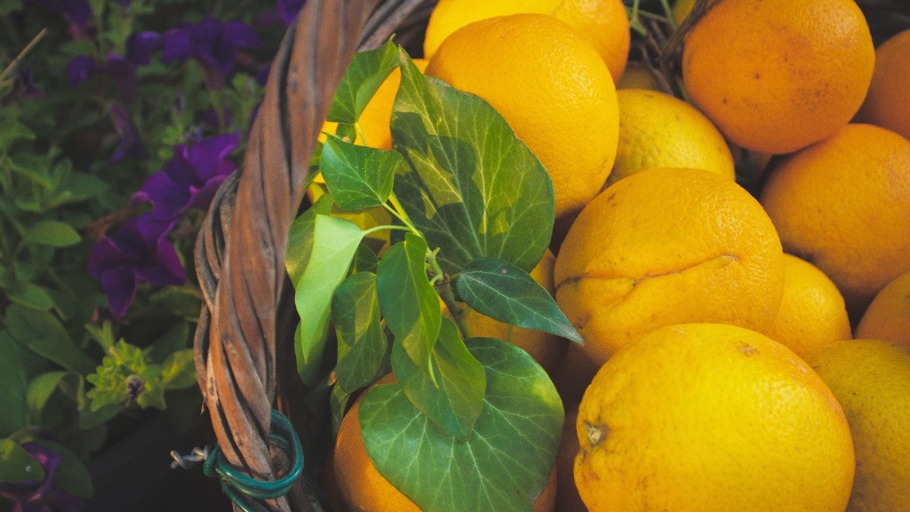 How To Save A Frost-Damaged Lemon Tree