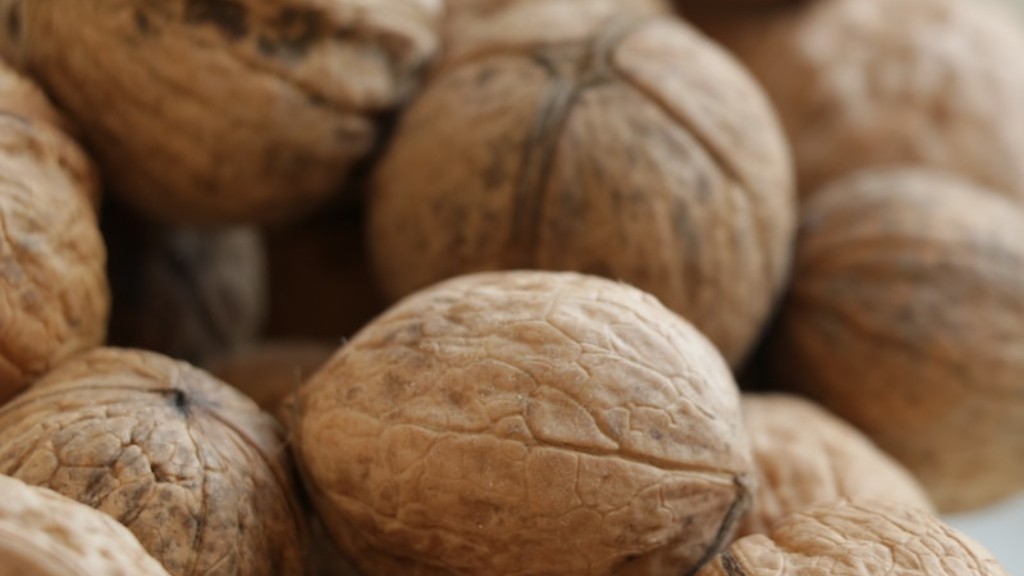 Is almond butter a tree nut?