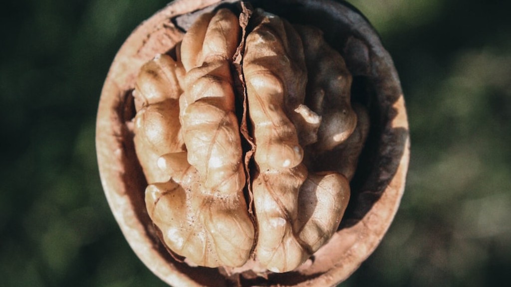 What has tree nuts in it?