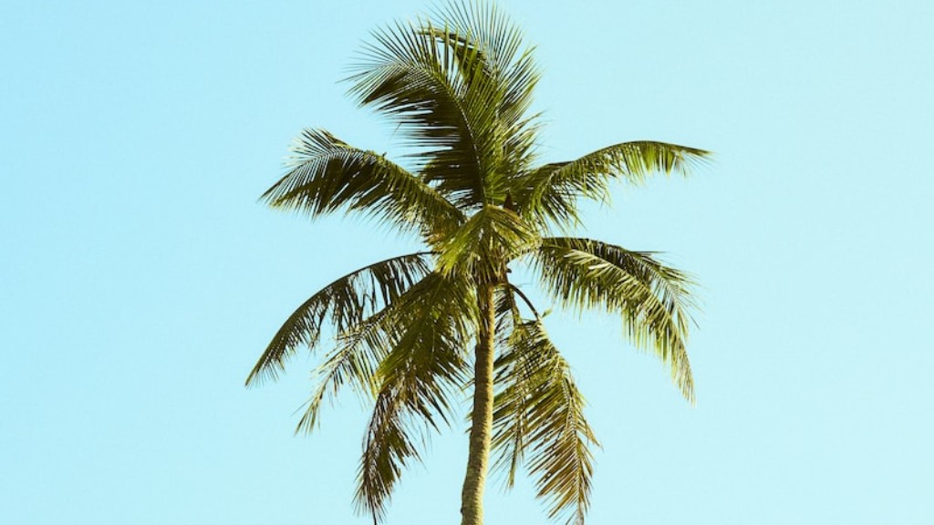 How do i sell my sago palm tree?