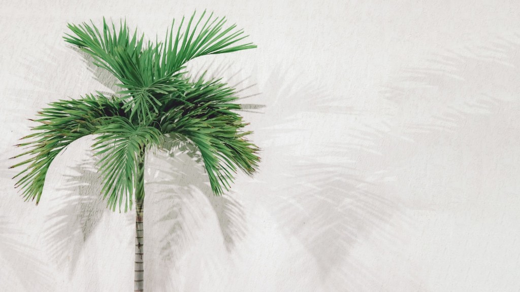 Can you clone a palm tree?