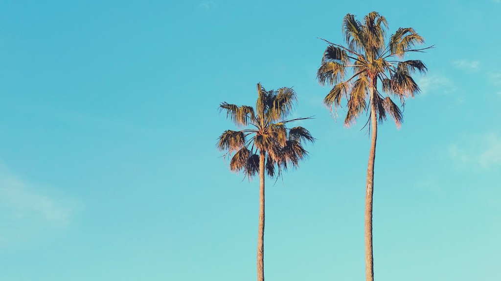 How much does it cost to install a palm tree?